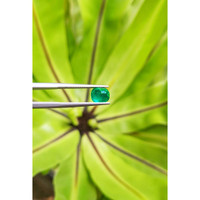 1.18 Ct. Cabochon Emerald from Pakistan Life Style
