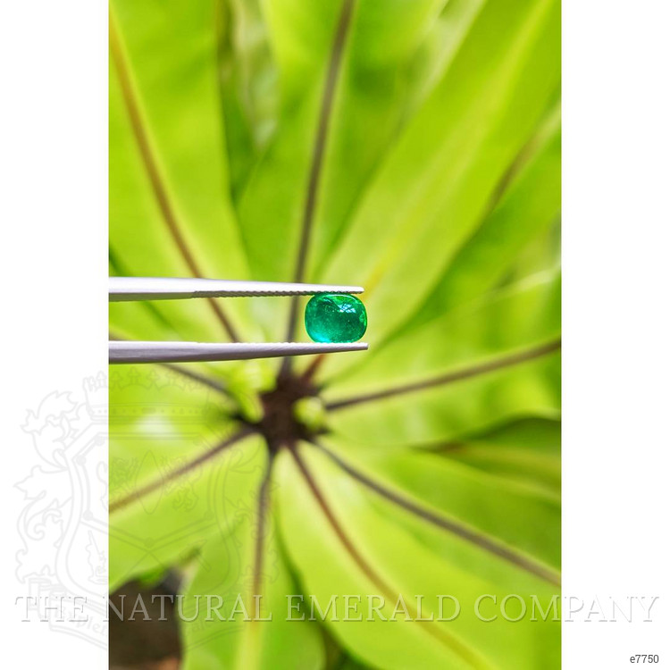 1.18 Ct. Cabochon Emerald from Pakistan