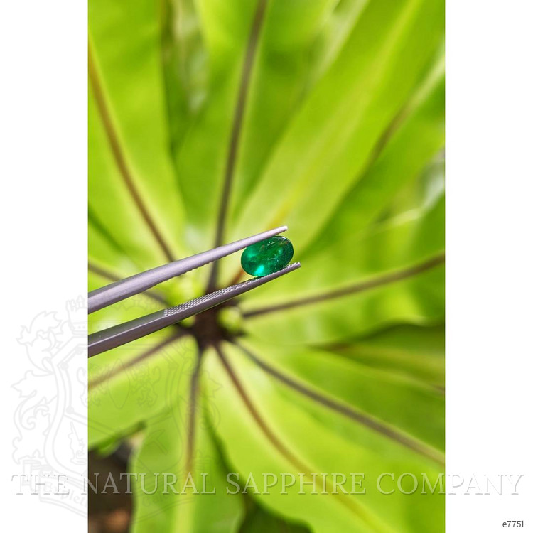 1.11 Ct. Cabochon Emerald from Pakistan