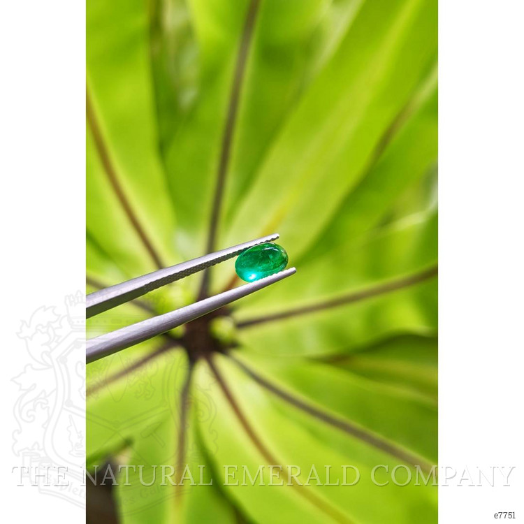 1.11 Ct. Cabochon Emerald from Pakistan