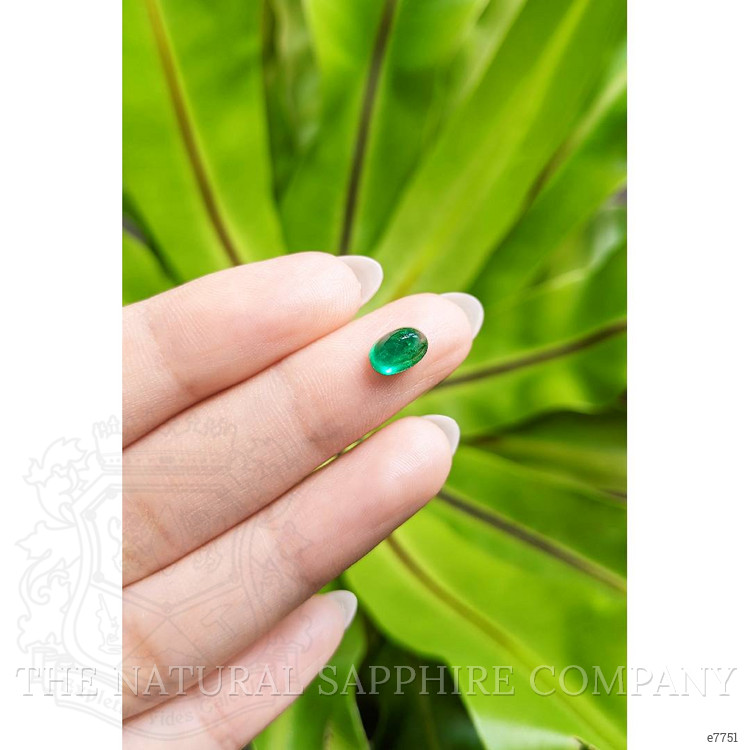 1.11 Ct. Cabochon Emerald from Pakistan