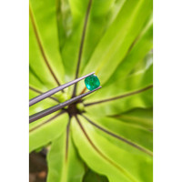 1.47 Ct. Cabochon Emerald from Pakistan Life Style
