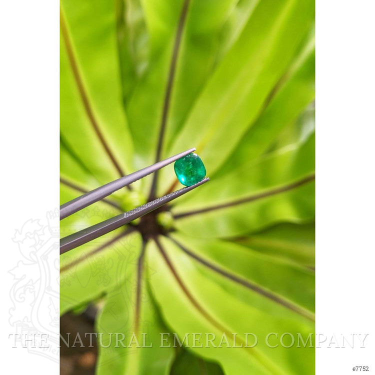 1.47 Ct. Cabochon Emerald from Pakistan