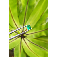 1.47 Ct. Cabochon Emerald from Pakistan Life Style