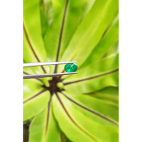 1.39 Ct. Cabochon Emerald from Pakistan Life Style