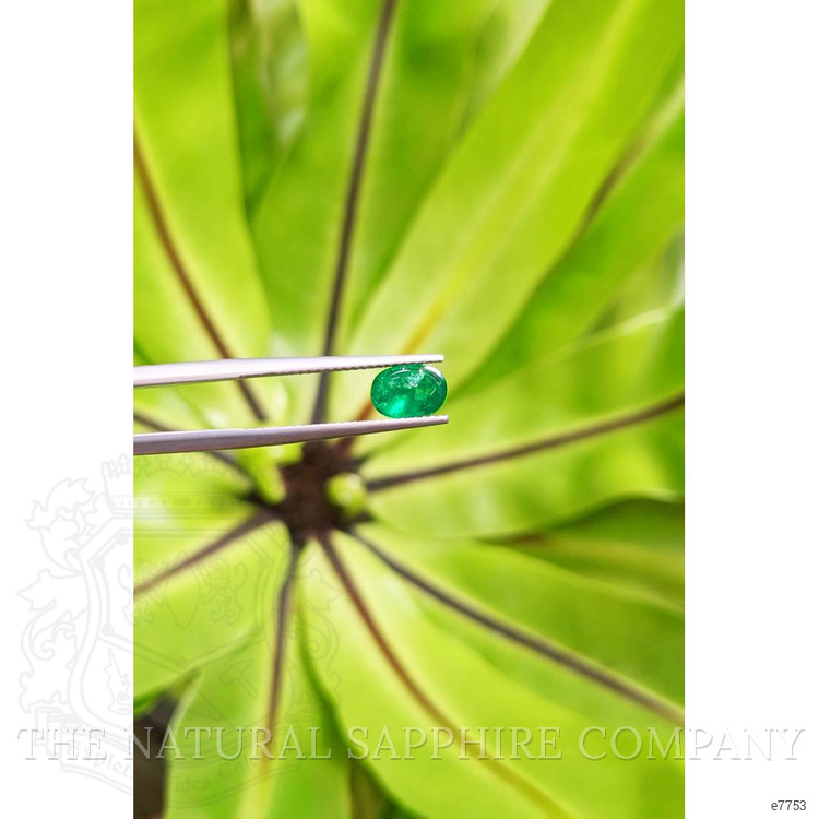 1.39 Ct. Cabochon Emerald from Pakistan
