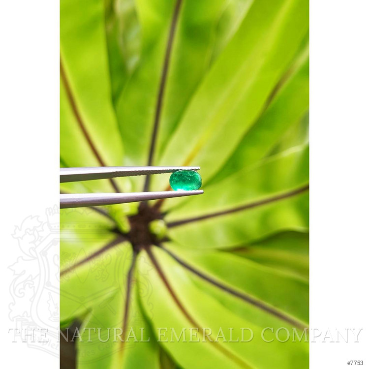 1.39 Ct. Cabochon Emerald from Pakistan