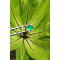 1.32 Ct. Cabochon Emerald from Pakistan Life Style