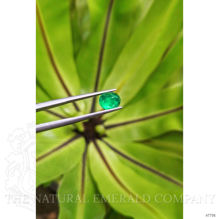 1.32 Ct. Cabochon Emerald from Pakistan