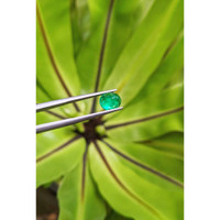 1.32 Ct. Cabochon Emerald from Pakistan Life Style