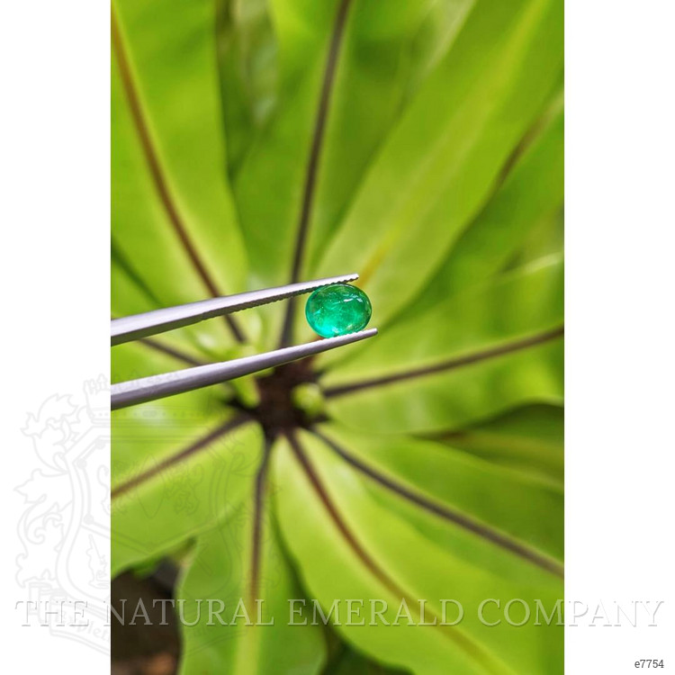1.32 Ct. Cabochon Emerald from Pakistan