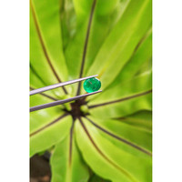 1.32 Ct. Cabochon Emerald from Pakistan Life Style