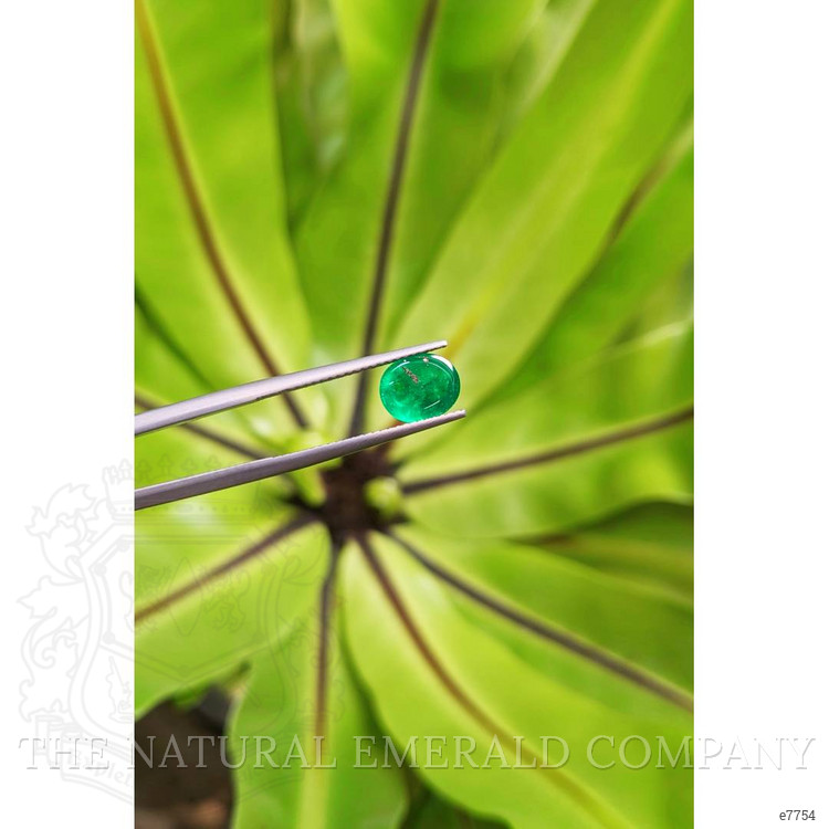 1.32 Ct. Cabochon Emerald from Pakistan