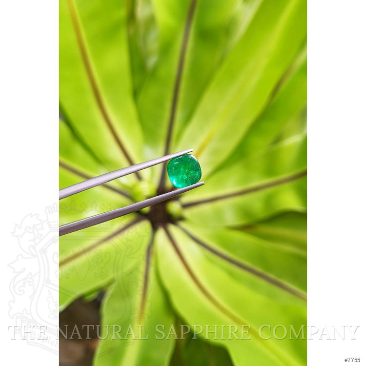 1.50 Ct. Cabochon Emerald from Pakistan