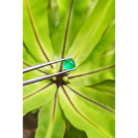 1.50 Ct. Cabochon Emerald from Pakistan Life Style