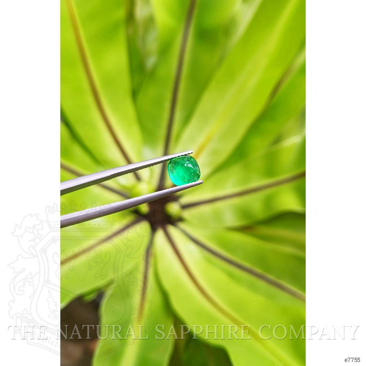 1.50 Ct. Cabochon Emerald from Pakistan
