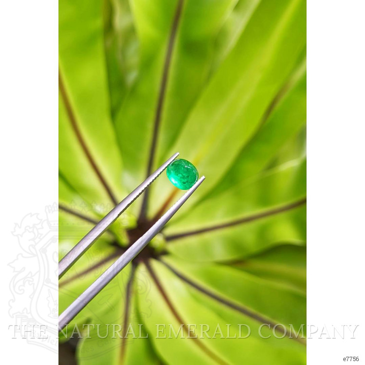 1.56 Ct. Cabochon Emerald from Pakistan