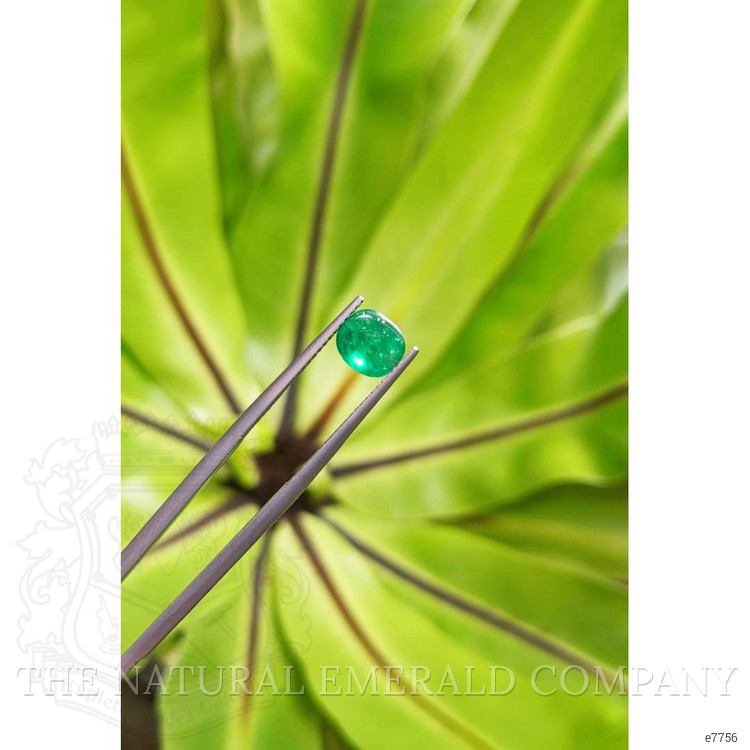 1.56 Ct. Cabochon Emerald from Pakistan