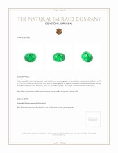 1.66 Ct. Cabochon Emerald from Pakistan Appraisal