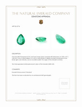 0.95 Ct. Emerald from Zambia Appraisal