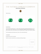1.71 Ct. Cabochon Emerald from Pakistan Appraisal