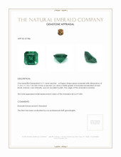 5.71 Ct. Emerald from Zambia Appraisal