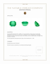 4.19 Ct. Emerald from Colombia Appraisal