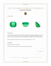 4.19 Ct. Emerald from Colombia Appraisal