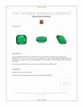 7.85 Ct. Emerald from Colombia Appraisal