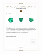 3.18 Ct. Emerald from Zambia Appraisal