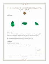 2.25 Ct. Emerald from Zambia Appraisal