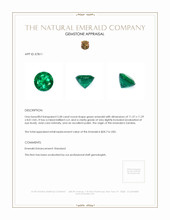 5.58 Ct. Emerald from Zambia Appraisal
