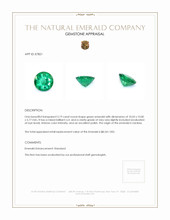 3.19 Ct. Emerald from Zambia Appraisal