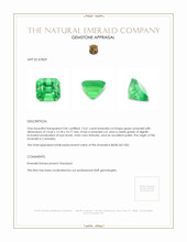 13.61 Ct. Emerald from Colombia Appraisal