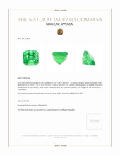 13.61 Ct. Emerald from Colombia Appraisal