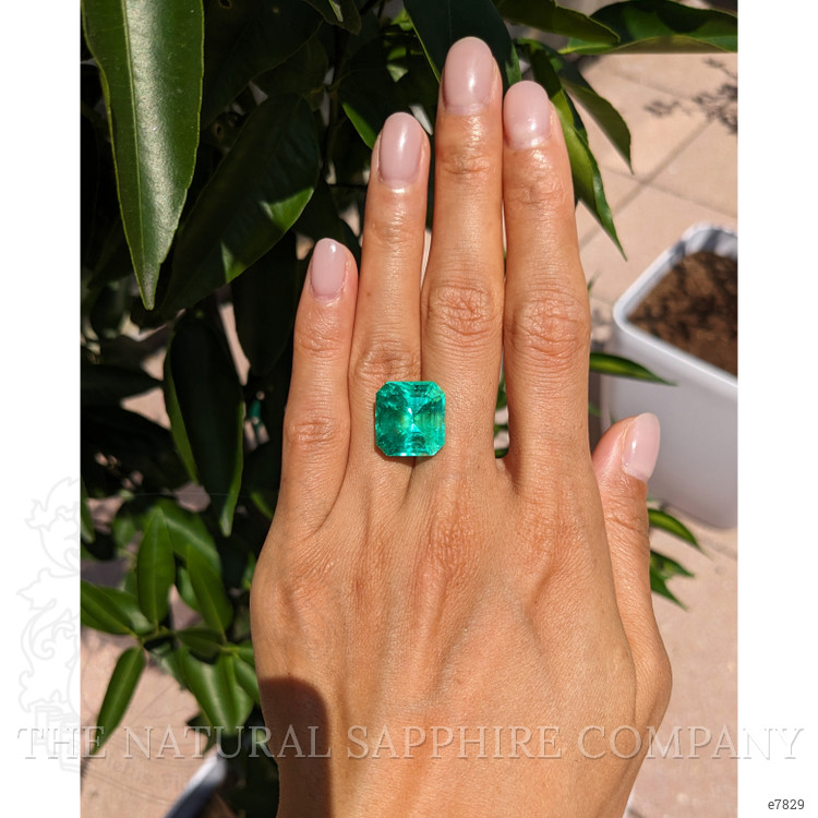 13.61 Ct. Emerald from Colombia
