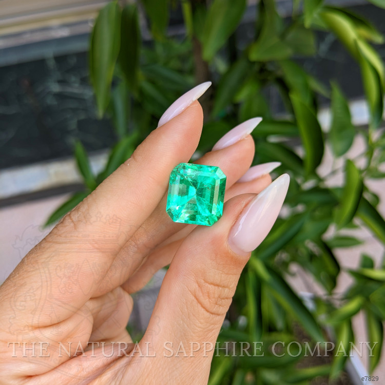 13.61 Ct. Emerald from Colombia