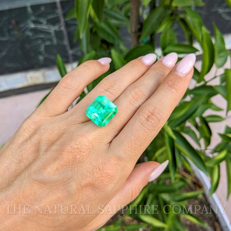 13.61 Ct. Emerald from Colombia