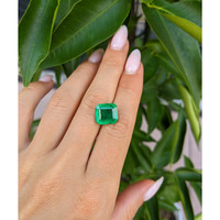 5.50 Ct. Emerald from Zambia Life Style