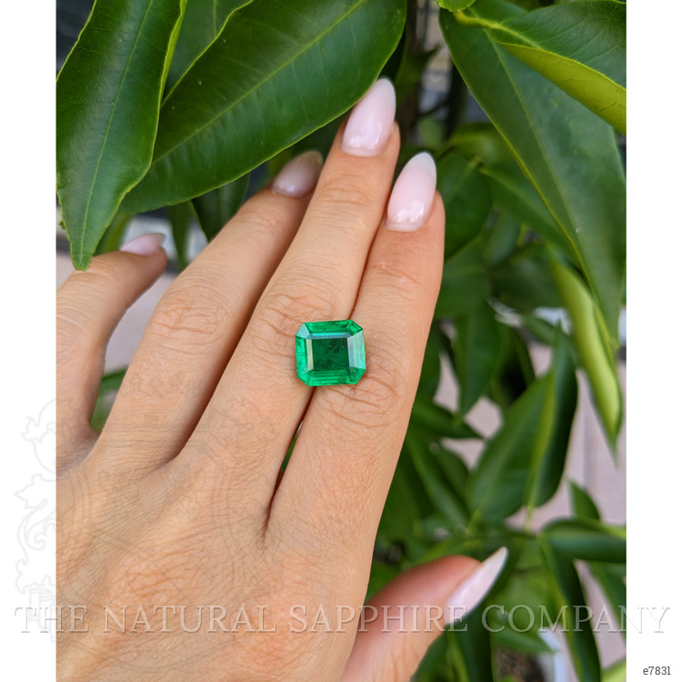 5.50 Ct. Emerald from Zambia