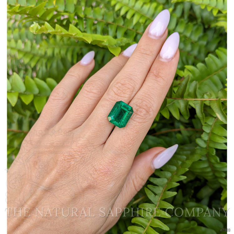 8.13 Ct. Emerald from Zambia