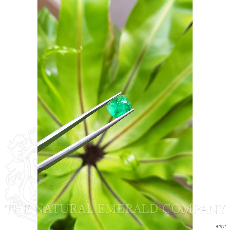3.00 Ct. Cabochon Emerald from Pakistan