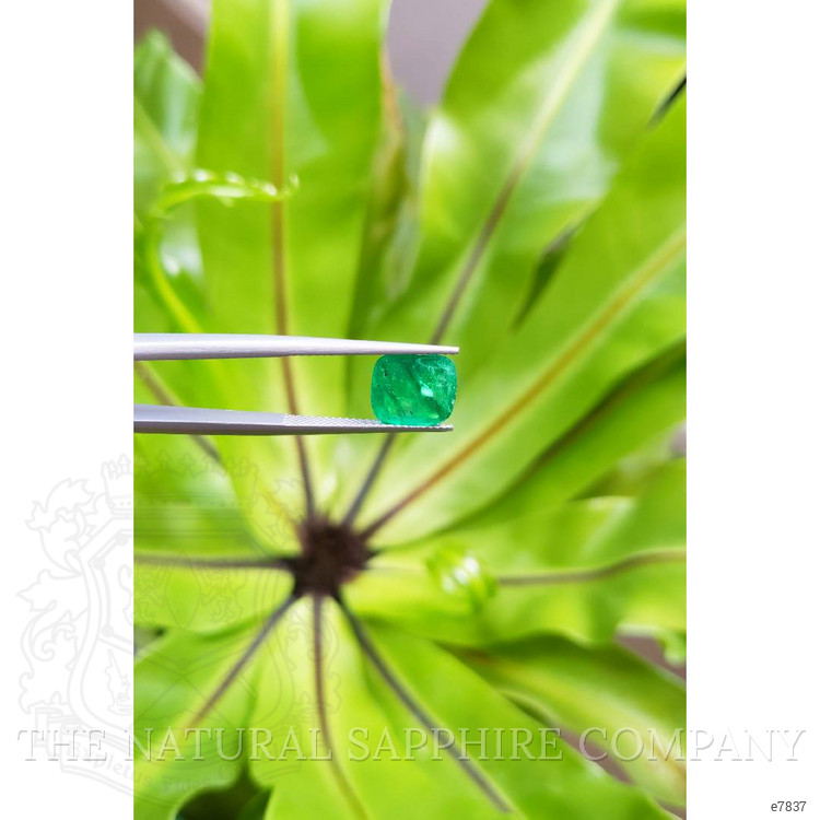 3.00 Ct. Cabochon Emerald from Pakistan