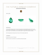 0.92 Ct. Emerald from Zambia Appraisal