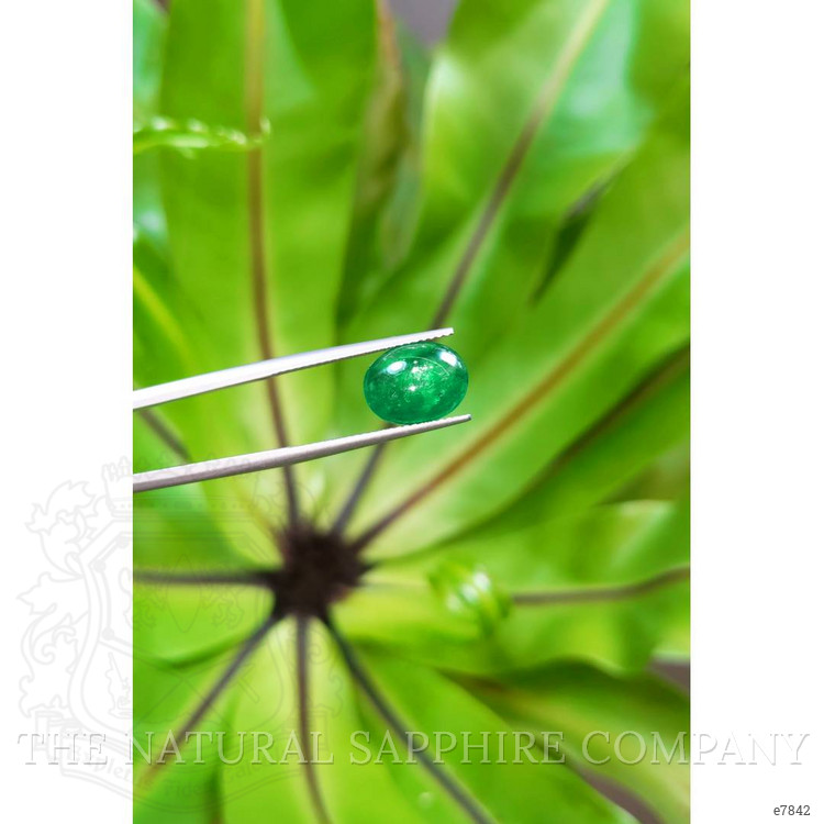 3.00 Ct. Cabochon Emerald from Pakistan