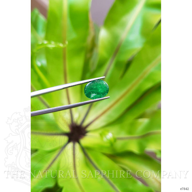 3.00 Ct. Cabochon Emerald from Pakistan
