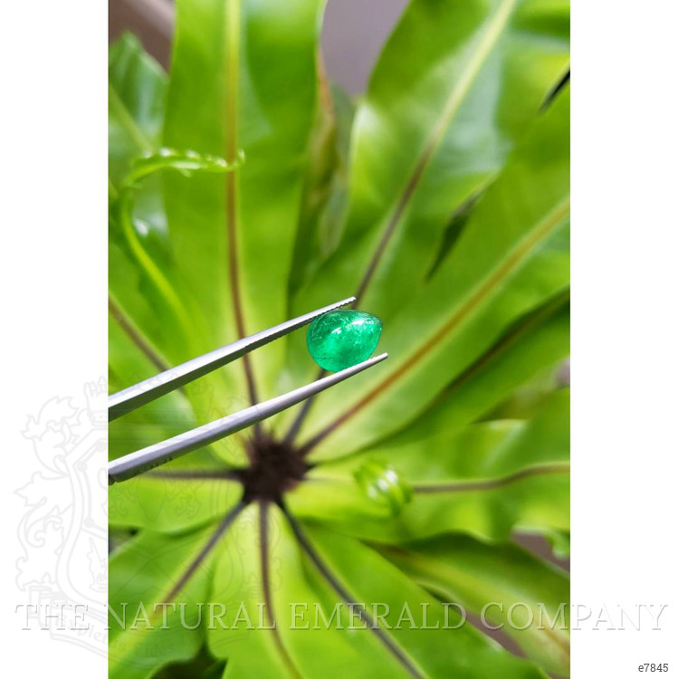 4.56 Ct. Cabochon Emerald from Pakistan