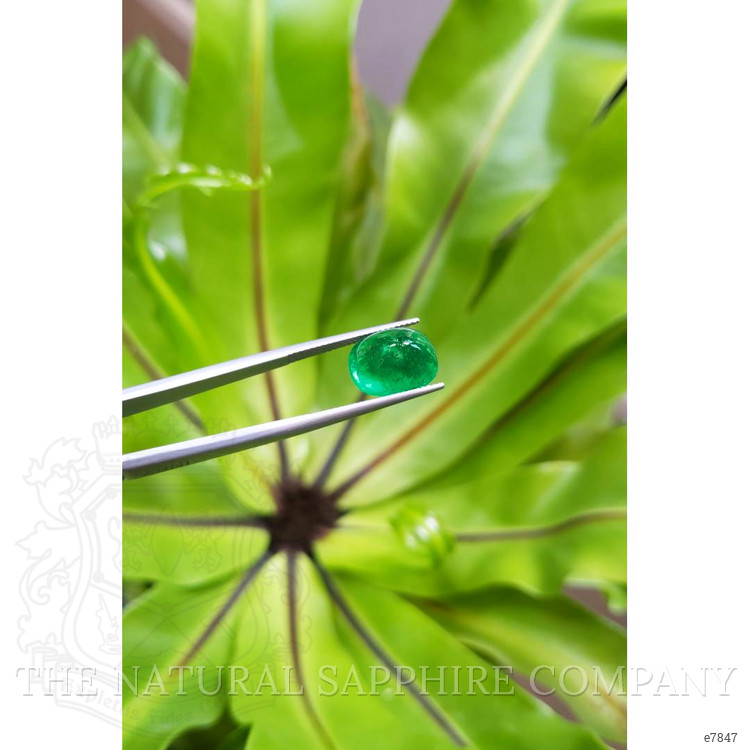 6.68 Ct. Cabochon Emerald from Pakistan