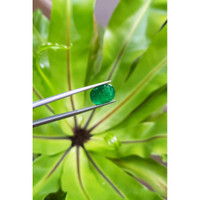 6.68 Ct. Cabochon Emerald from Pakistan Life Style