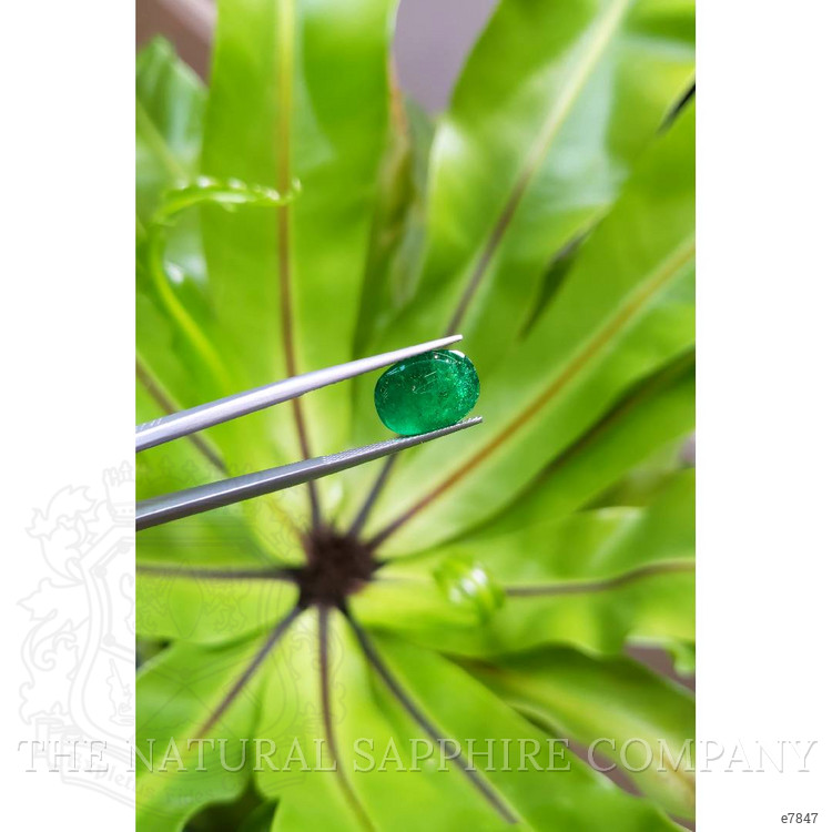 6.68 Ct. Cabochon Emerald from Pakistan